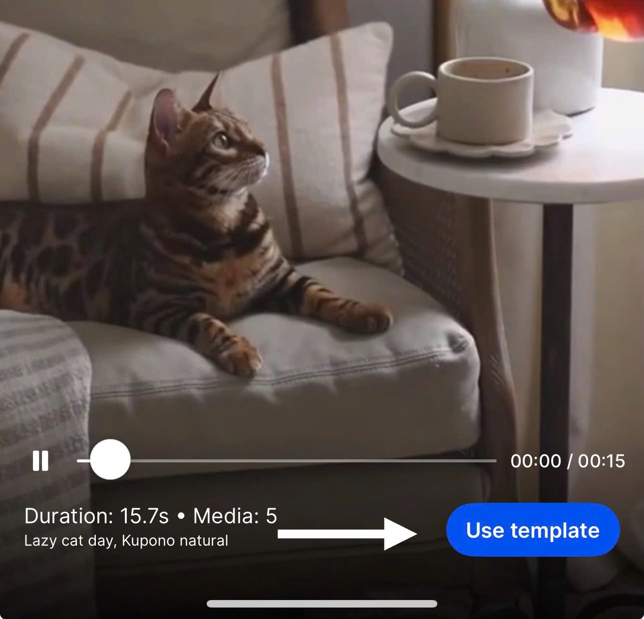 The “My Cat” theme