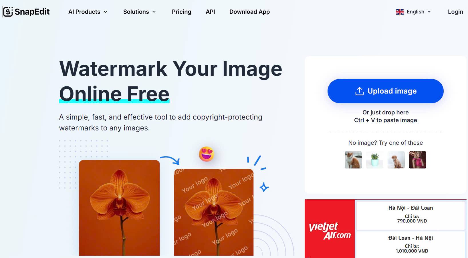 How To Edit Product Photos With SnapEdit Any eCommerce Seller Need To Know