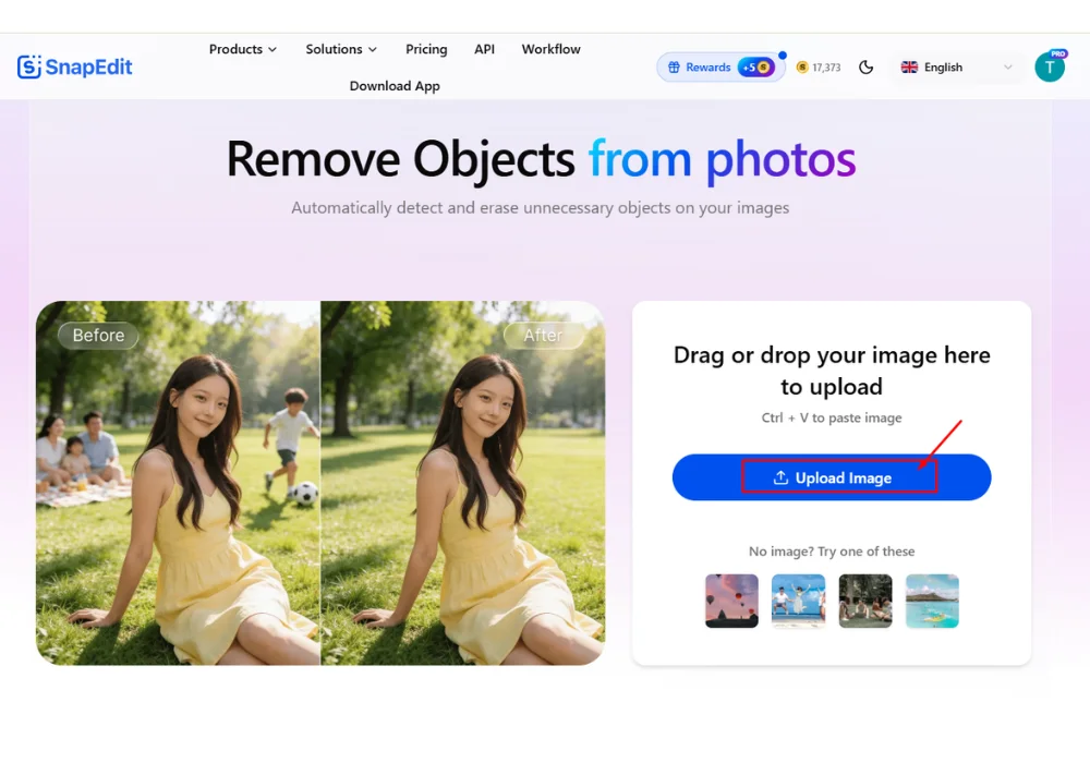 snapedit-remove-object.png