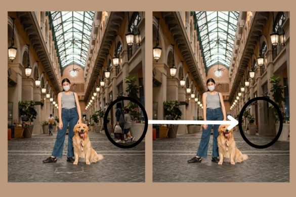 Instructions for using SnapEdit to remove objects