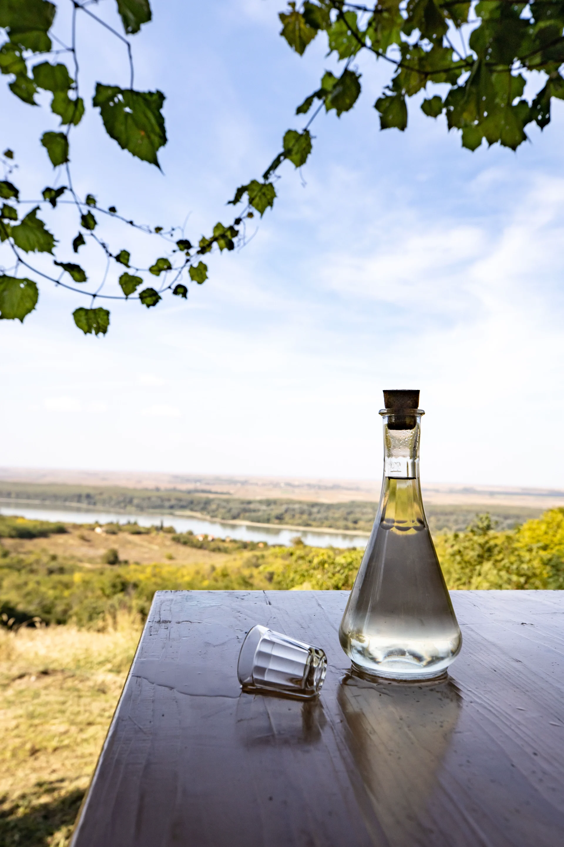 bottle-on-the-woody-table.jpg