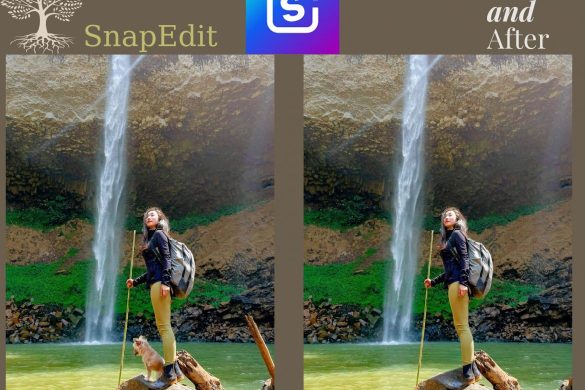 Use SnapEdit to edit photos and remove unwanted objects
