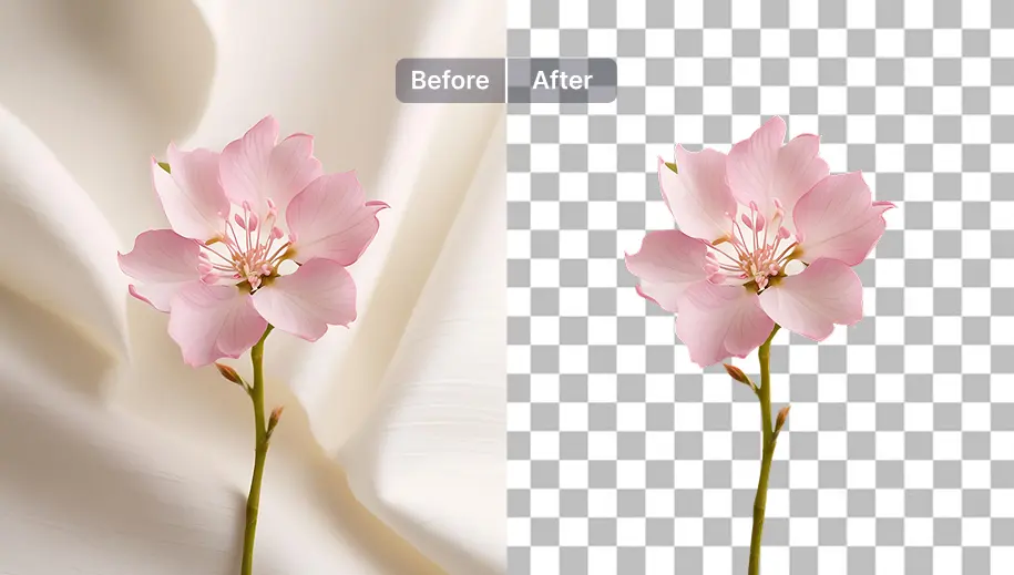 Clean Cutouts for editing workflows